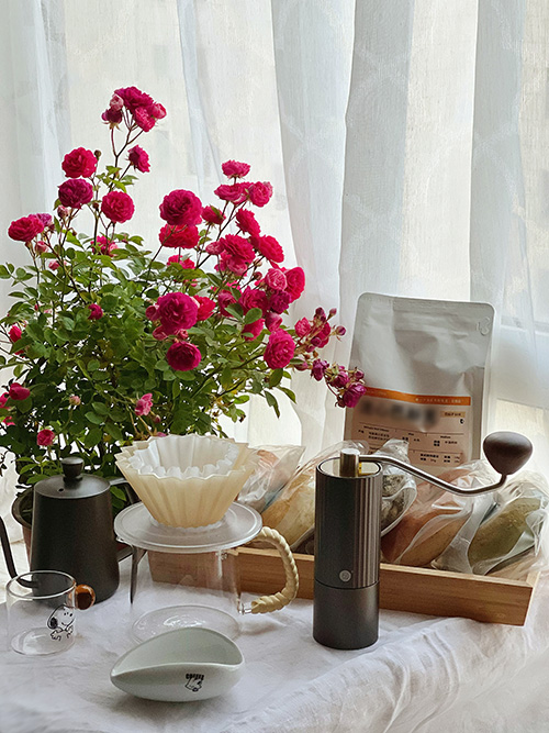 burr grinder burr grinder